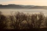 Cold Wintery Morning, Fog, mist, NPND03_131