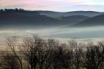 Cold Wintery Morning, Fog, mist