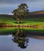 Trees, Hills, Pond, Reflection, Reservoir, Lake, Water, NPND03_171