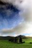 Hills, Fields, Clouds, Trees, Two-Rock, Sonoma County, NPND03_178