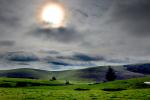 Sun, Hills, Fields, Clouds, Trees, Two-Rock, Sonoma County, NPND03_182
