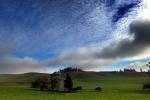 Hills, Fields, Clouds, Eucalyptus Trees, NPND03_183