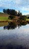 Hills, Fields, Water, Reservoir, Pond, Reflection, Lake, Eucalyptus Trees, Alto Cumulus Clouds