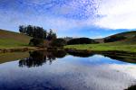 Symmetric Water Reflection, Hills, Fields, Lake, Eucalyptus Trees, Alto Cumulus Clouds