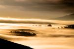 Hills, Trees, Fog, Clouds, Morning, Eucalyptus Trees, Sonoma Mountains, NPND03_192