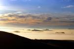 Hills, Trees, Fog, Clouds, Morning, Eucalyptus Trees, Sonoma Mountains, NPND03_193