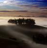 Hills, Trees, Fog, Clouds, Morning, Eucalyptus Trees, Mountains, NPND03_194