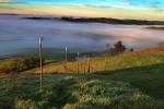 Hills, Trees, Fog, Clouds, Morning, Fence