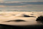 Morning, Hills, Trees, Fog, Clouds, Eucalyptus Trees, Mountains, NPND03_207