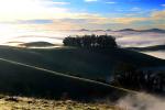 Morning, Hills, Trees, Fog, Clouds, Eucalyptus Trees, Mountains, NPND03_224