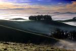 Morning, Hills, Trees, Fog, Clouds, Eucalyptus Trees, Mountains, NPND03_225