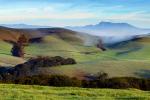Morning, Trees, Fog, Hills, Clouds, Eucalyptus Trees, Mountains, Mount Saint Helena, NPND03_230