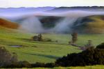 Morning, Trees, Fog, Hills, Clouds, Eucalyptus Trees, Mountains, NPND03_231
