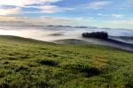 Hills, Trees, Fog, Clouds, Morning, NPND03_240
