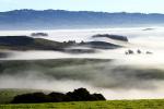 Sonoma Mountain Range, Hills, Fog, Clouds, Morning, Eucalyptus Trees, NPND03_245