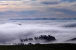 Hills, Fog, Clouds, Morning, Eucalyptus Trees, NPND03_250