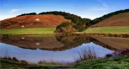 Pond, Hills, Trees, Reflection, Lake, Reservoir, Water, fields, NPND03_255