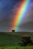 Rainbow, Hills, Trees, Clouds, Two-Rock, Sonoma County, NPND03_268