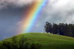 Rainbow, Fields, hills, clouds, Eucalyptus Trees, NPND03_291