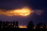 Sunset, Eucalyptus Trees, clouds, NPND03_300