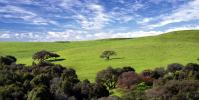 Trees, Field, Hills, Hillside, clouds, Tranquility