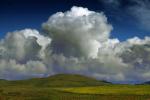 Fields, Hills, Marin County, Cumulus Clouds