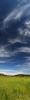 hills, clouds, fields, bookmark, Petaluma, Sonoma County, NPND04_058B