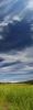 hills, clouds, fields, NPND04_058C