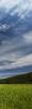 hills, clouds, fields, NPND04_058D