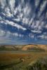 Hills, Clouds, Keyes Creek, Wetlands, Marin County Coastline, NPND04_071