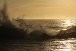 Pacific Ocean, Wave, Sonoma County Coast, NPND04_098