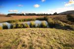 Field, Pond, Clouds, Wetlands, Two-Rock, Sonoma County, NPND04_131
