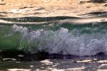 Beach, Wave, Sonoma County Coast, Ocean, Water, Seawater, Sea, NPND04_146