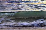Beach, Wave, Sonoma County Coast, Ocean, Water, Seawater, Sea, NPND04_159