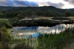 Wetlands, lake, pond, reeds, Marin County, California, water, NPND04_176