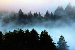 Fog under Mount Tamalpais, NPND04_202
