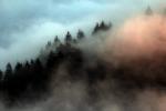 Fog under Mount Tamalpais, NPND04_204