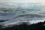 Fog under Mount Tamalpais, NPND04_207