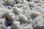 Wiggly Jiggly Foam, from the Pacific Ocean, Russian River mouth, Sonoma County, NPND04_268