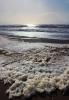 Foam from the Pacific Ocean, Russian River mouth, Sonoma County, NPND04_277