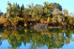 fall colors, autumn, water, trees, reflection, Sacramento River