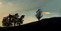 Sundog, Lone Tree and a cloud, NPND05_073