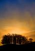 Sunset, trees, clouds, NPND05_075