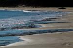 Water, ocean, beach, wet sand, texture, coast, coastal, shore, shoreline, Drakes Bay, NPND05_109