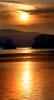 Golden Sunset, Tomales Bay, Marin County, NPND05_144