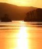Golden Sunset, Tomales Bay, Marin County, NPND05_146