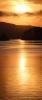 Golden Sunset, Tomales Bay, Marin County, NPND05_147