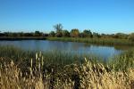 Kelly Pond, Laguna De Santa Rosa, wetlands, Sonoma County Regional Park, NPND05_166