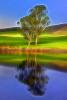 Transcendental Pond, Lake, trees, hills, reflection, water, Paintography, NPND05_179
