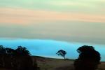 Coastal Fog, sunset, clouds, NPND05_208